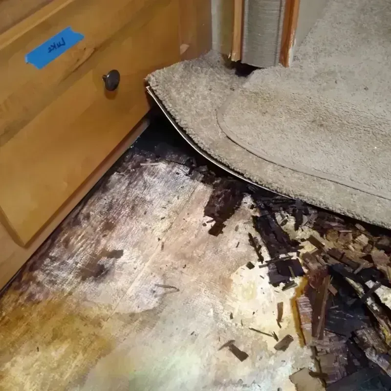 Wood Floor Water Damage in Orchard Mesa, CO